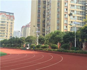 太陽(yáng)能路燈使用客戶西安高新一中